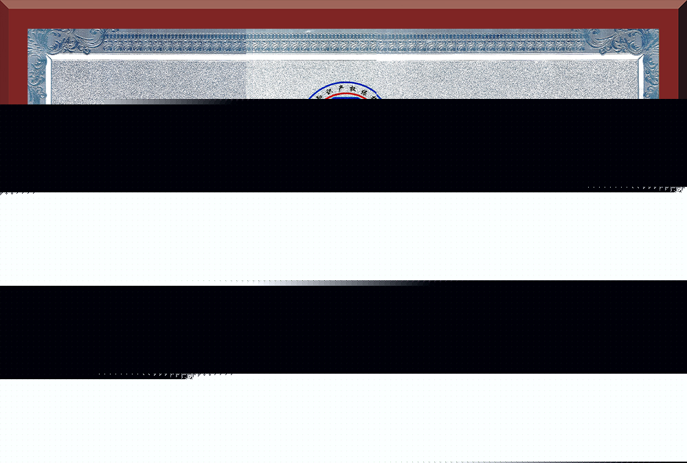 05、廣東省知識(shí)產(chǎn)權(quán)示范企業(yè)